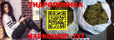 mdma Новозыбков